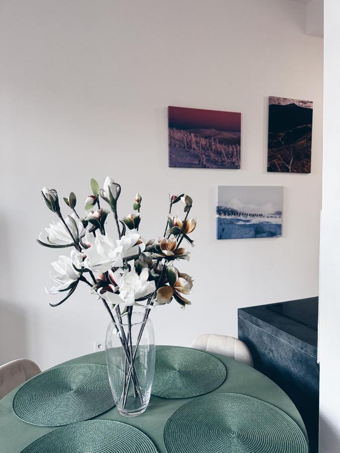 Loft Przy Placu Niepodleglosci Διαμέρισμα Jelenia Góra Εξωτερικό φωτογραφία